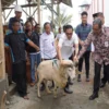 Sekjen Kemenimipas RI melihat ternak domba garut di Lapas Garut