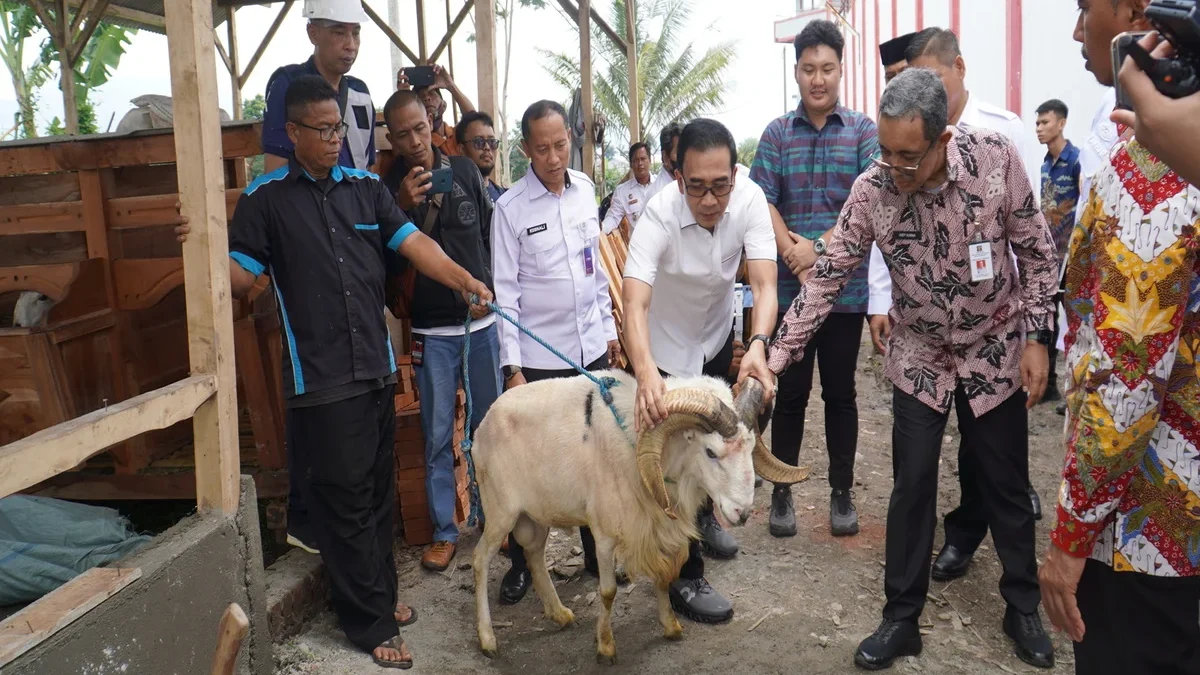 Sekjen Kemenimipas RI melihat ternak domba garut di Lapas Garut