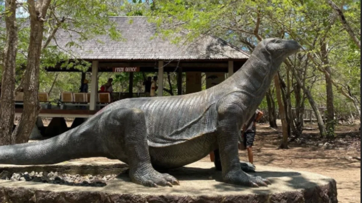 Keajaiban Alam di Tanah Air: Menyelami Pesona Taman Nasional Komodo