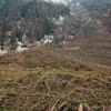 Dampak Penebangan Hutan di Padarincang: 5 Faktor yang Memperburuk Risiko Banjir dan Longsor