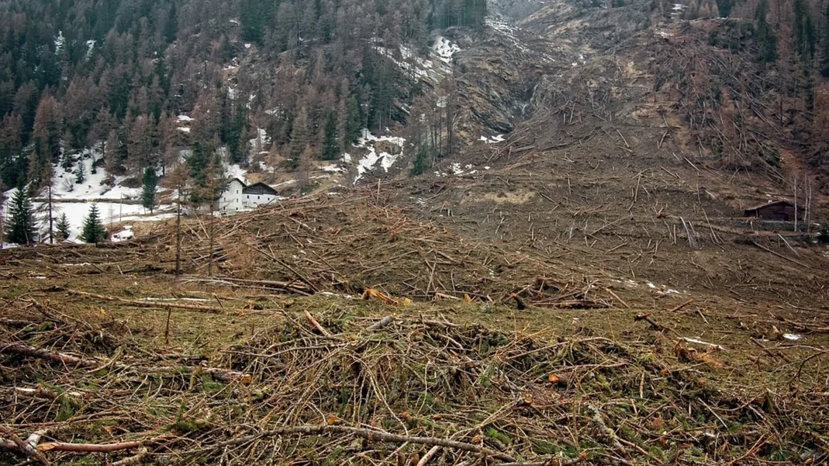 Dampak Penebangan Hutan di Padarincang: 5 Faktor yang Memperburuk Risiko Banjir dan Longsor