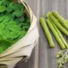 Manfaat Daun Kelor dan 7 Bahan Alami Lainnya untuk Kesehatan Tubuh