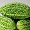 5 Makanan Pahit dengan Manfaat Kesehatan Luar Biasa, Wajib Dicoba!!