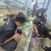 istimewa
