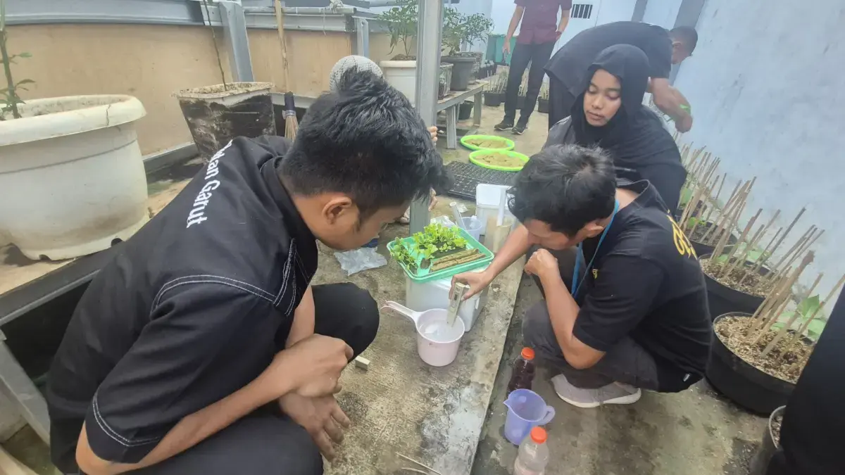 istimewa