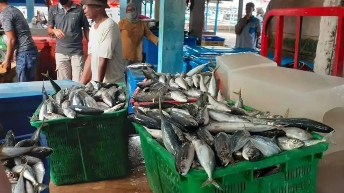 Harganya Mahal, Kadis Kanak Garut Sebut Ikan Laut Berat jadi Menu MBG istimewa