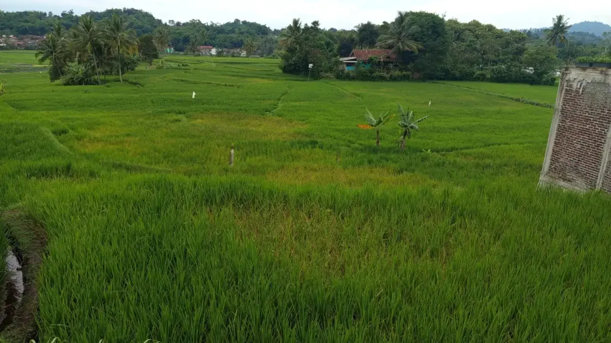 Radar Garut