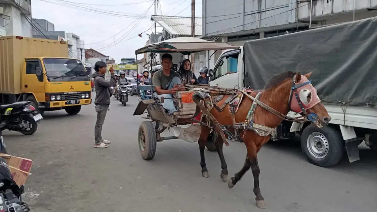 Radar Garut