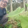 istimewa