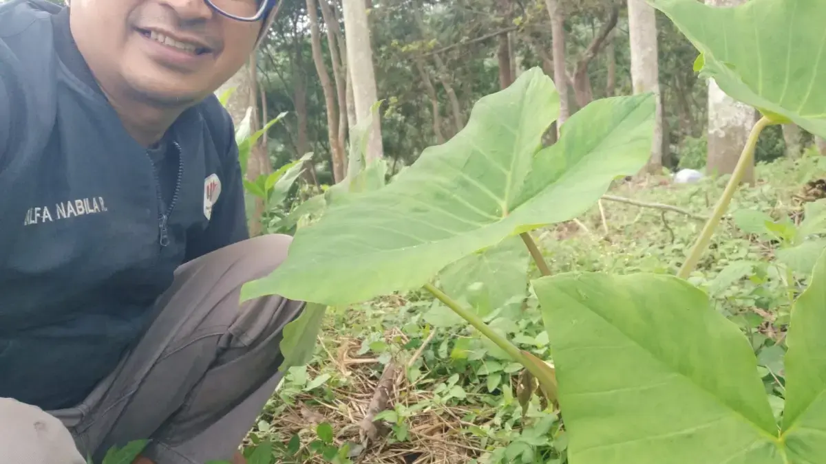 istimewa
