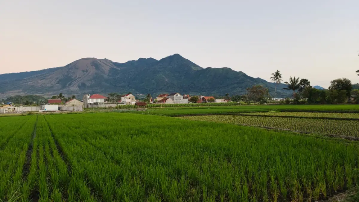 Radar Garut