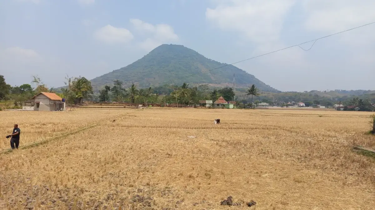 Kekeringan di Garut, BPBD Distribusikan 497 Ribu Liter Air Bersih ke 13 Kecamatan Radar Garut