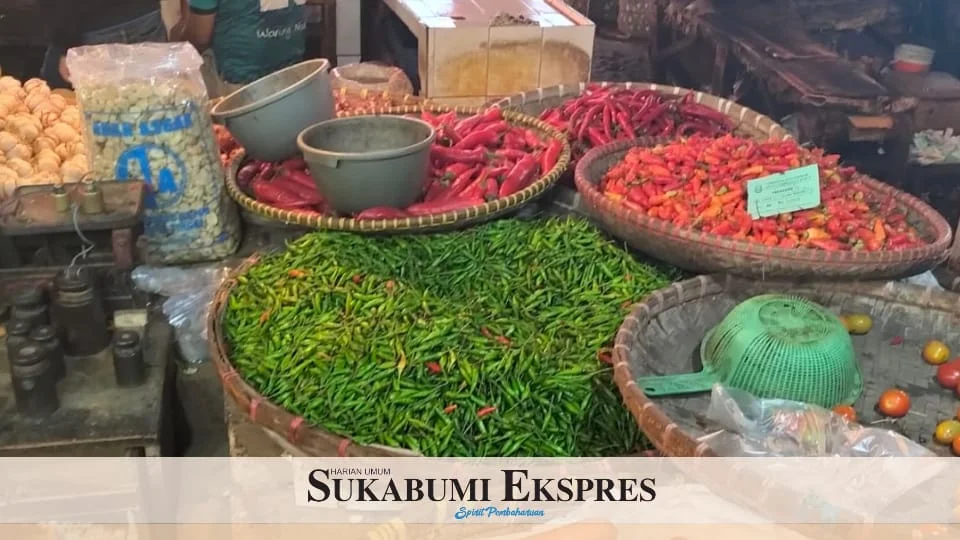 Harga Cabai Terus Turun *Pasokan Melimpah, Permintaan Sedikit Harga Cabai Terus Turun *Pasokan Melimpah, Permintaan Sedikit