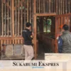 Mantan Kades Diduga Terlibat Penipuan *Bermodus Kerja Sama Penggemukan dan Pengadaan Domba