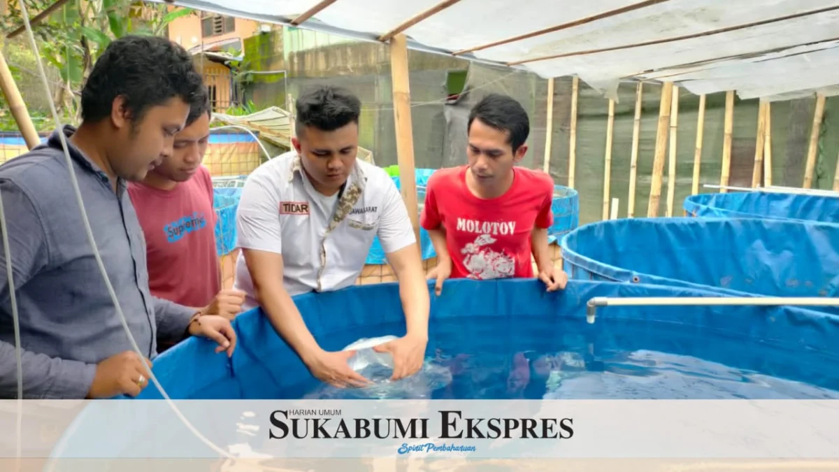 Tebar 100 Ribu Benih Udang Galah