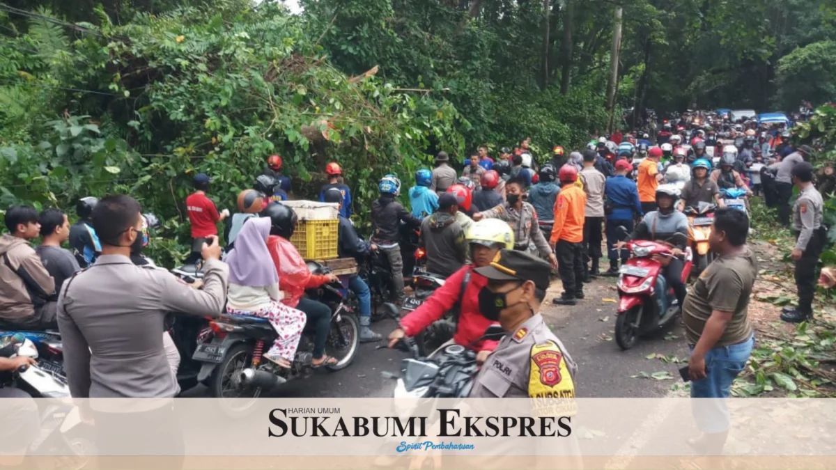 Akses Jalan Palabuhanratu-Cisolok Tertutup Pohon Tumbang