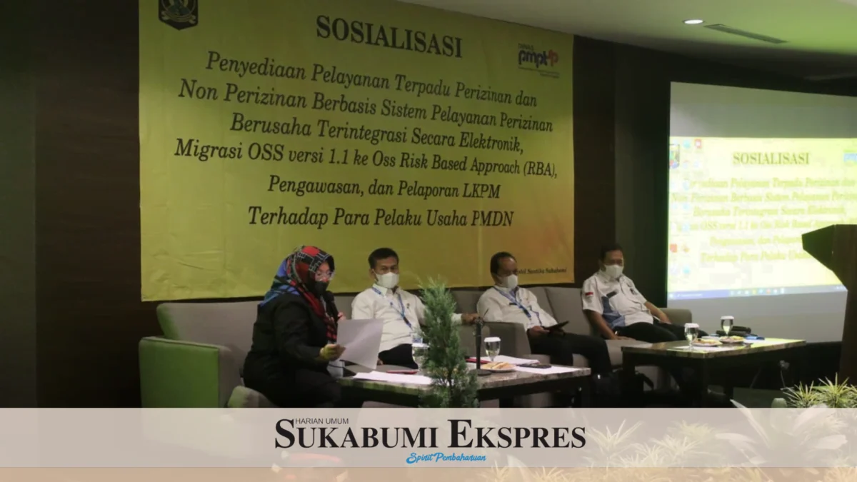 DPMPTSP Sosialisasikan Perizinan Baru Kepada PMDN