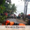 Pohon Tumbang akibat Cuaca Ekstrem
