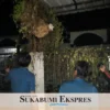 Kurun Setahun Tangani 115 Kasus Sarang Tawon