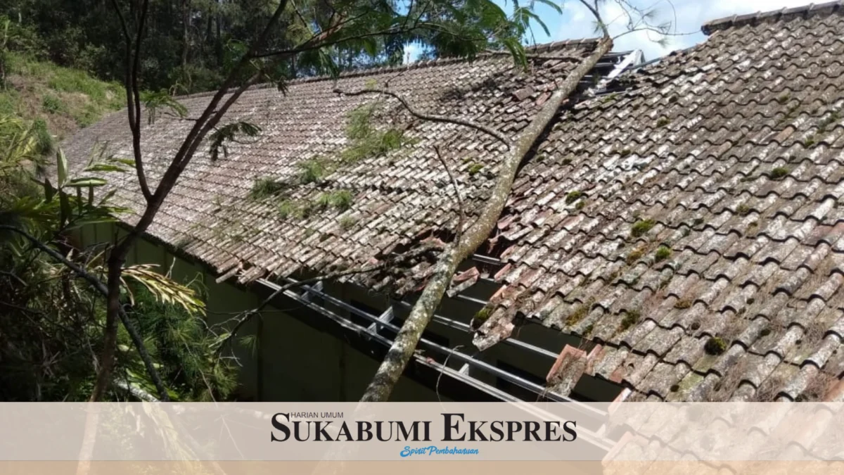 Pohon Tumbang Timpa Atap Bangunan Sekolah