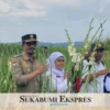 Kementan Panen Gladiol