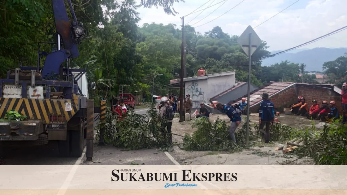 Dinsos Kota Sukabumi Bentuk