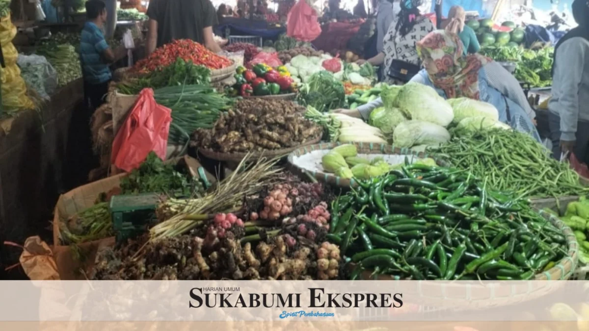 Harga Migor Kemasan