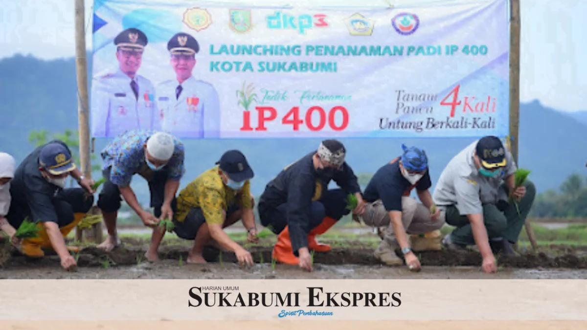 IP400 Diyakini Bisa Tingkatkan