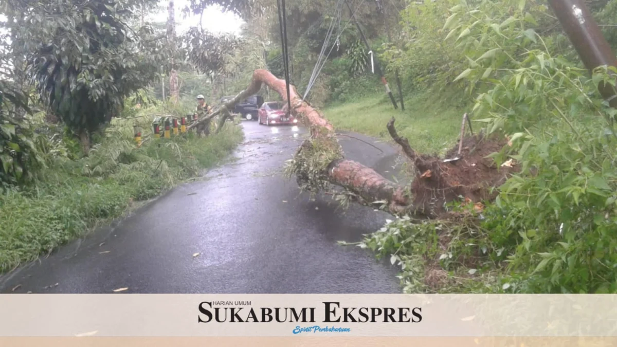 Pohon Tumbang Tutup Akses Jalan di Parakansalak Pohon Tumbang Tutup Akses