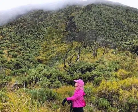 Niat Mendaki Ke Gunung