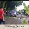 Sopir Angkot Tanam Pisang di Jalan