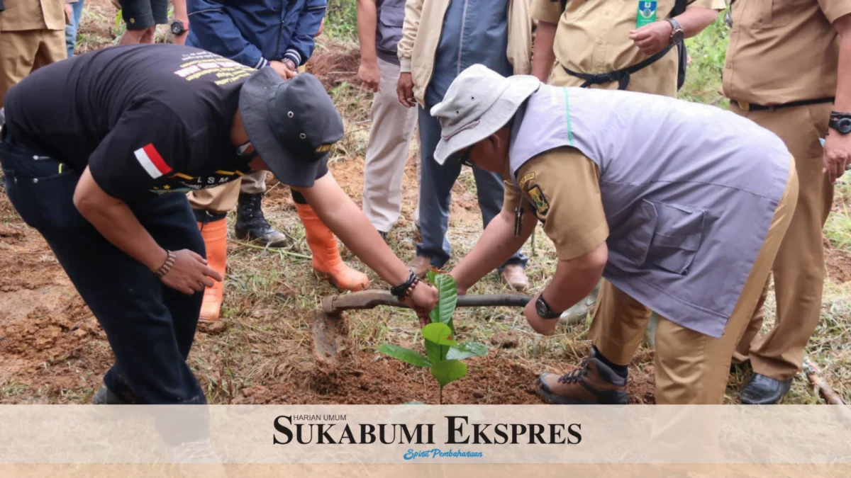 Bupati Tanam Kopi di Puncak Buluh