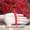 Harga Cabai Merah Tembus