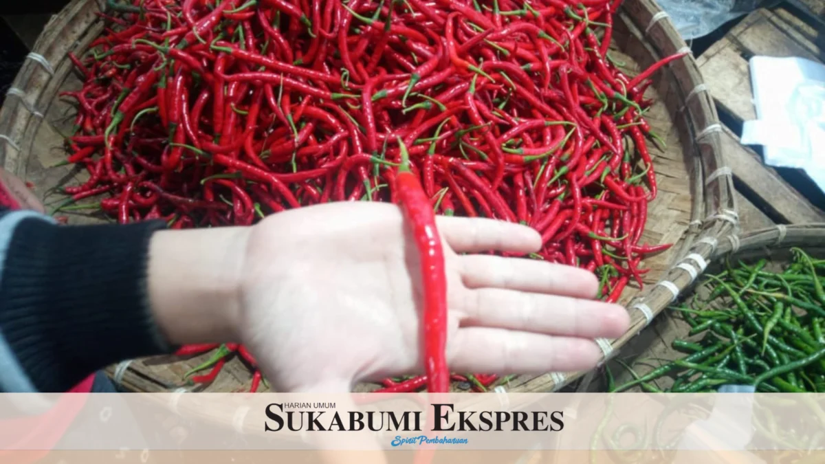 Harga Cabai Merah Tembus