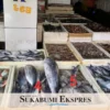 harga Ikan yang naik