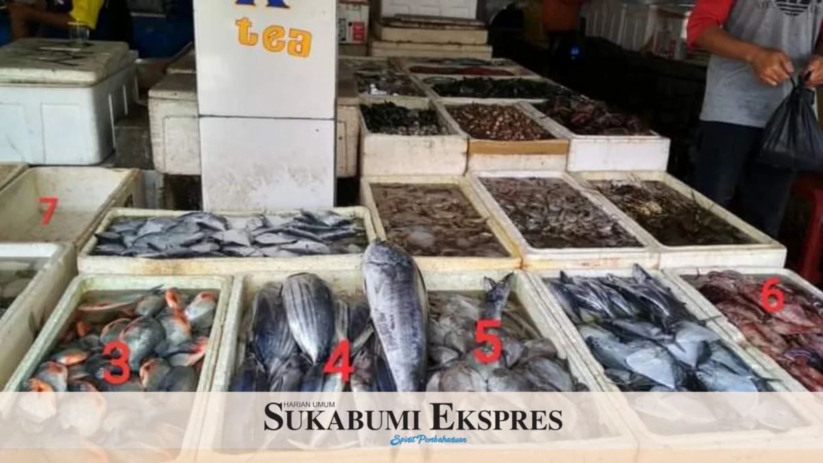 harga Ikan yang naik