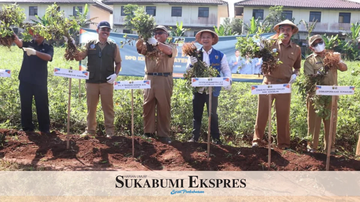 Bupati Panen Kacang Lurik Hasil Pertanian DPD KNPI