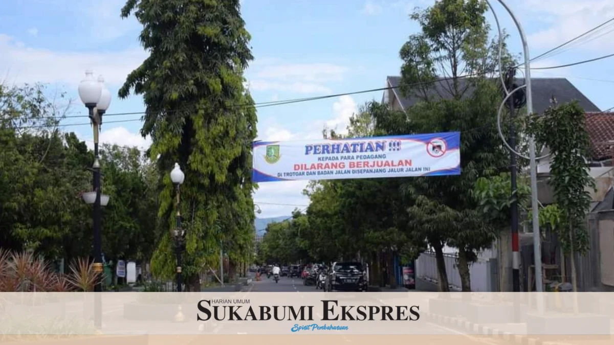 Petugas Enumerator Verifikasi