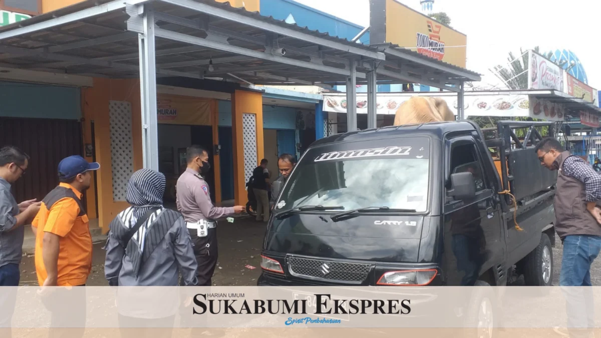 Tak Kantongi SKKH, Pikap Pengangkut 'Limosin' Diputar Balik