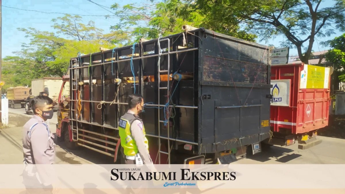 Lagi, Petugas Gabungan Putar Balik Kendaraan Pengangkut Sapi