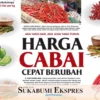 Harga Cabai Cepat Berubah *Ada yang Naik, Ada Juga yang Turun