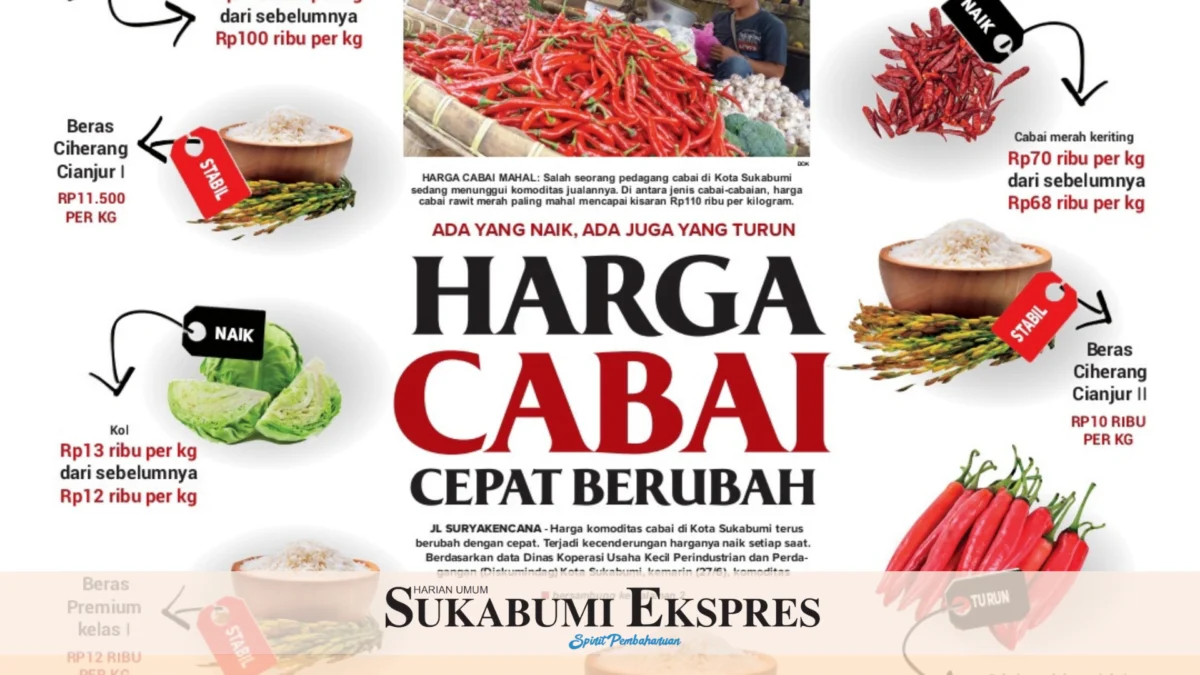 Harga Cabai Cepat Berubah *Ada yang Naik, Ada Juga yang Turun