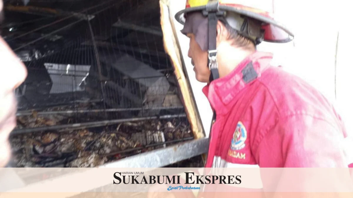 Kandang Ayam Petelur di Jampangtengah Ludes Terbakar