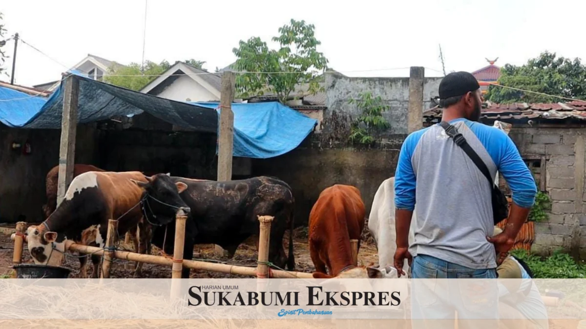 Permintaan Hewan Kurban Mulai Meningkat