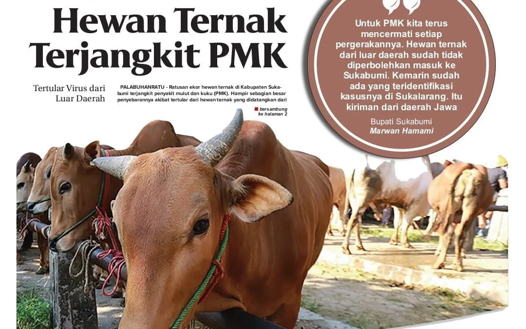 Ratusan Ekor Hewan Ternak Terjangkit PMK, Tertular Virus dari Luar Daerah