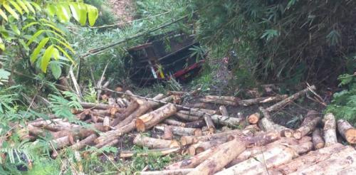 Truk Bermuatan Kayu Terjun ke Jurang Sedalam 20 Meter