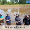 Jaga Ekosistem Laut di Geopark, TNI AL Tanam Mangrove