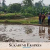 Warga Cisaat Dihebohkan dengan Temuan Mayat di Sawah