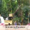 Disperkim Dibantu Polisi Pangkas Pohon Tumbang Berpotensi Tumbang