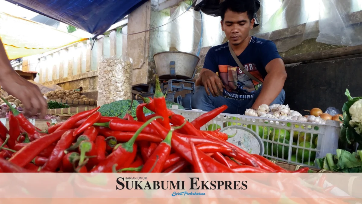 Makin 'Pedas' Dekati Kurban *Harga Komoditas Cabai Terus Naik